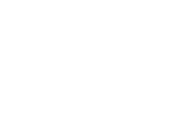 Schneider